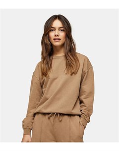 Бежевый свитшот Topshop petite