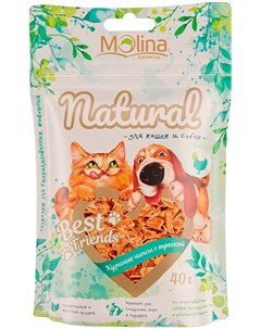 Лакомство Natural Best Friends для собак и кошек чипсы куриные с треской 40 гр 1 шт Molina