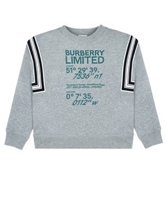 Серый свитшот с зеленым логотипом Burberry