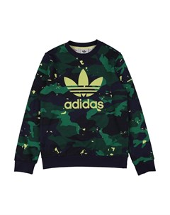 Толстовка Adidas originals