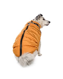 Куртка на молнии для собак 3XL желтый унисекс Rurri