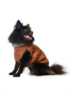 Куртка на молнии для собак 3XL унисекс Rurri