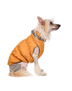 Куртка на молнии для собак L желтый унисекс Rurri