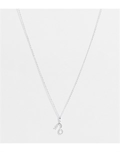 Серебряное ожерелье с подвеской в виде дракона Asos design