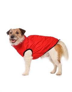 Куртка на молнии для собак L красный унисекс Rurri