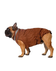 Куртка на молнии для собак Французский бульдог L коричневый унисекс Rurri