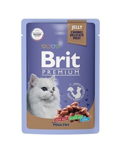 Premium полнорационный влажный корм для кошек ассорти из птицы кусочки в желе в паучах 85 г Brit*