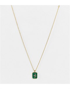 Ожерелье с позолотой 14 карат и подвеской зеленого цвета со змеей Asos design