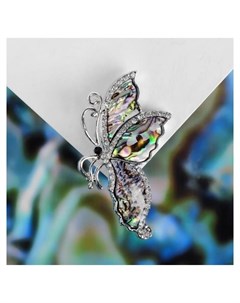 Брошь Галиотис бабочка со сложенными крылышками в серебре Queen fair