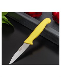 Нож овощной Pratik лезвие 9 см Nnb