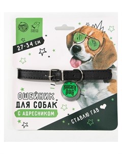 Ошейник для собак Rochin Dog с адресником Пушистое счастье