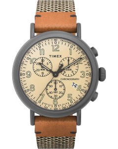 Мужские часы в коллекции Standard Timex