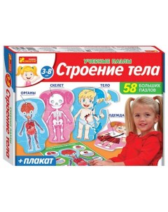 Настольная игра Строение тела Ranok creative