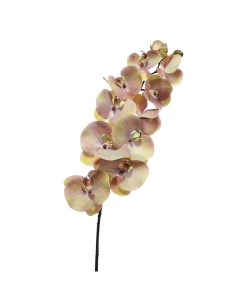 Цветок орхидея 97 см Dpi