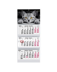 Календарь Домашние любимцы 3 Трехблочный 2023 год Канц-эксмо