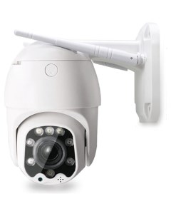 Поворотная камера видеонаблюдения Ps-link