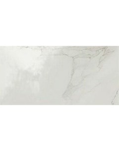 Керамогранит Evolution Marble Calacatta Lux MK0L 29x58 см Marazzi italy