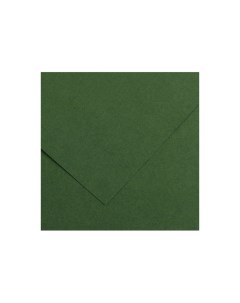 Бумага тонированная Iris Vivaldi А4 120 г 31 темно зеленый Canson