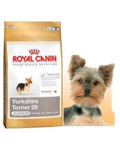 Корм для щенков Yorkshire Terrier Junior сухой 500 г Royal canin