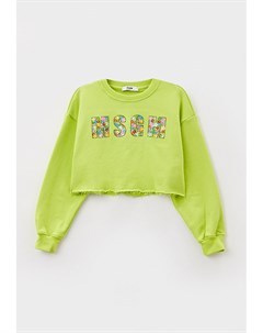 Свитшот Msgm kids