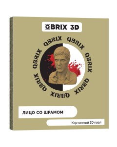 Картонный 3D конструктор "Лицо со шрамом" Qbrix