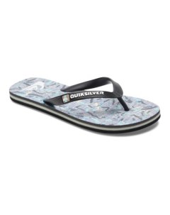 Мужские сланцы Molokai Quiksilver