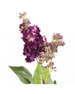 Цветы искусственные Сирень 70см цвет темно фиолетовый Flodecor