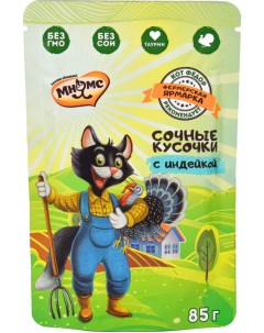 Влажный корм для кошек Мнямс Фермерская ярмарка сочные кусочки с индейкой 85г упаковка 12 шт Visan industrias zootecnicas