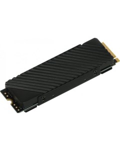 Накопитель SSD M 2 2280 DGST4001TG33T DGST40 1TB PCI E 4 0 x4 3D TLC 7400 5500MB s IOPS 330K 560K MT Digma