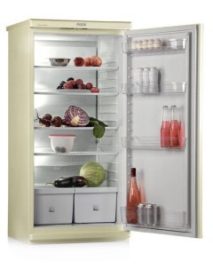 Холодильник Свияга 513 5 бежевый Pozis