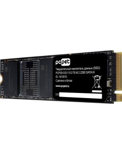 Твердотельный накопитель SSD PCPS512G1 Pc pet