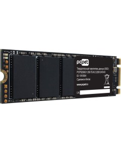 Твердотельный накопитель SSD SATA III 256Gb PCPS256G1 M 2 2280 Pc pet