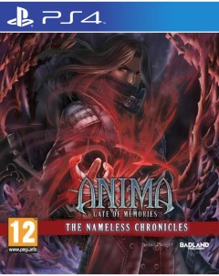 Игра Anima Gate of Memories The Nameless Chronicles PS4 Badland games