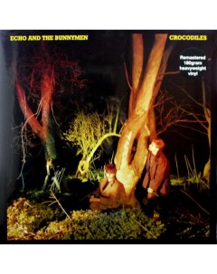 Echo And The Bunnymen Crocodiles LP Warner music