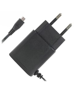 Сетевое зарядное устройство TinyCharger microUSB 1A Black Robiton