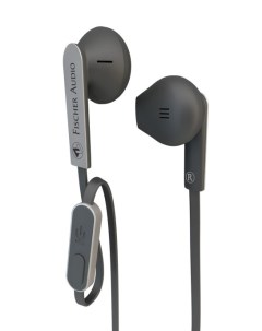 Наушники FE 155 RC Black Silver Fischer audio