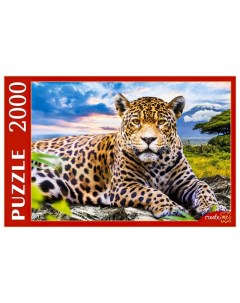 Пазл Большой леопард 2000 элементов Рыжий кот