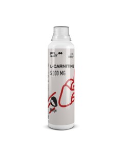 L Carnitine 1500 500 мл Манго Floo sport