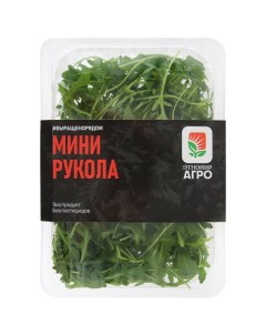 Салат Руккола 50 г Ifarm