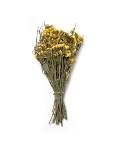 Сухие цветы Лимониум 17 х 11 х 33 см 7 цветов декор