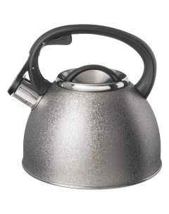 Чайник для плиты со свистком индукция нержавеющая сталь 2 5л 907 254 Agness