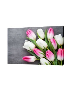 Картина на холсте на стену Бело розовые тюльпаны 50х70 см Сити бланк
