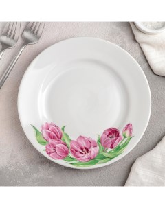 Тарелка мелкая Розовые тюльпаны d 20 см Дулевский фарфор