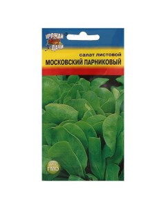 Семена Салат Московский парниковый лист 0 5 гр Урожай удачи