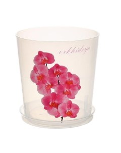 Цветочный горшок для орхидеи с поддоном М1606 3 5 л прозрачный 1 шт Альтернатива