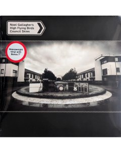 Рок Noel Gallagher s High Flying Birds Council Skies 180 Gram Black Vinyl 2LP Sour mash