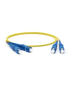 Оптический патч корд SM 9 125 OS2 SC UPC SC UPC 2 0 мм duplex LSZH 3m FC D2 9 SC UR SC UR H 3M LSZH  Hyperline