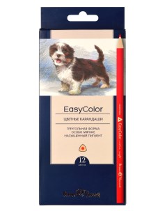 Набор цветных карандашей EasyColor 30 0028 трехгранные 12 шт заточенные 30 0028 Bruno visconti