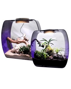 Террариум для рептилий Life Box фиолетовый 35 x 35 x 20 см Lucky reptile