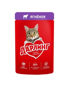 Влажный корм для кошек с ягненком 75г Darling